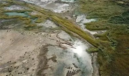 干掉千年沙漠,千年沙漠种树有多厉害