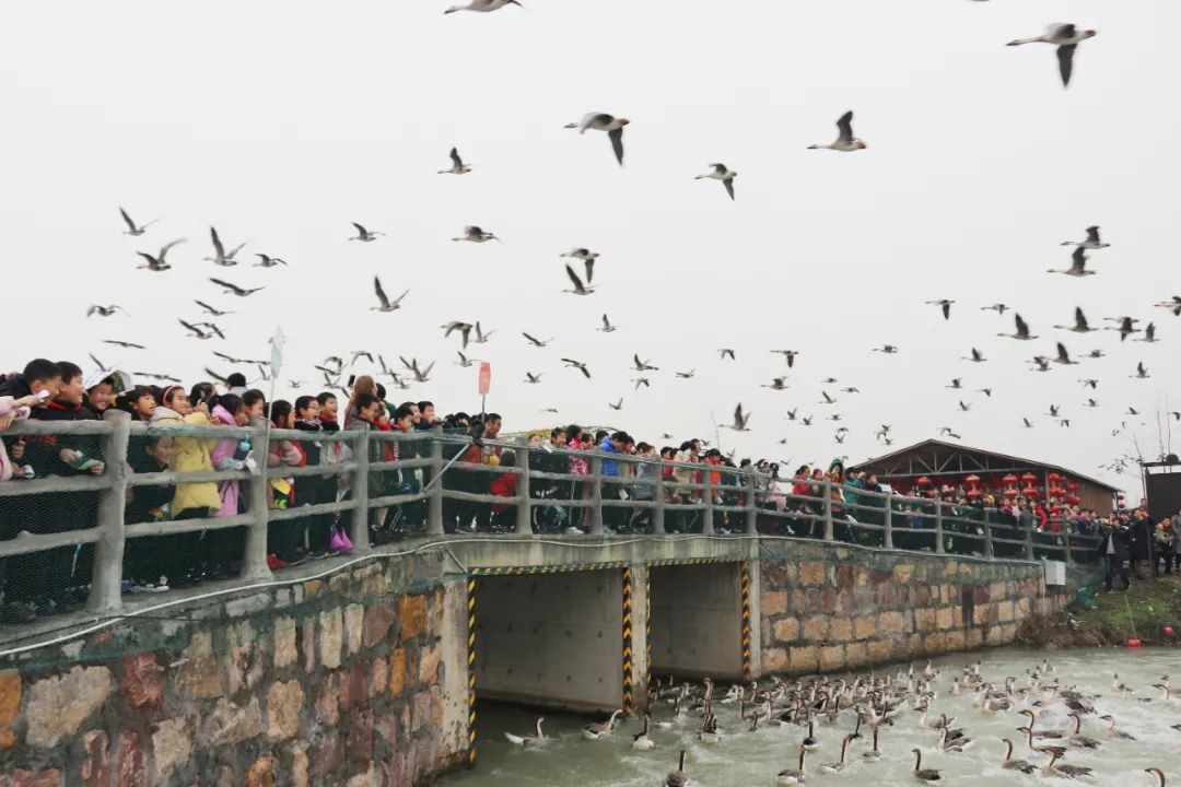 职工疗养旅游有哪些项目,职工疗休养都玩什么