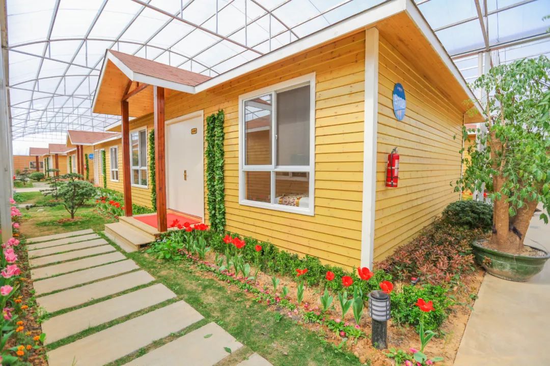 职工疗养旅游有哪些项目,职工疗休养都玩什么