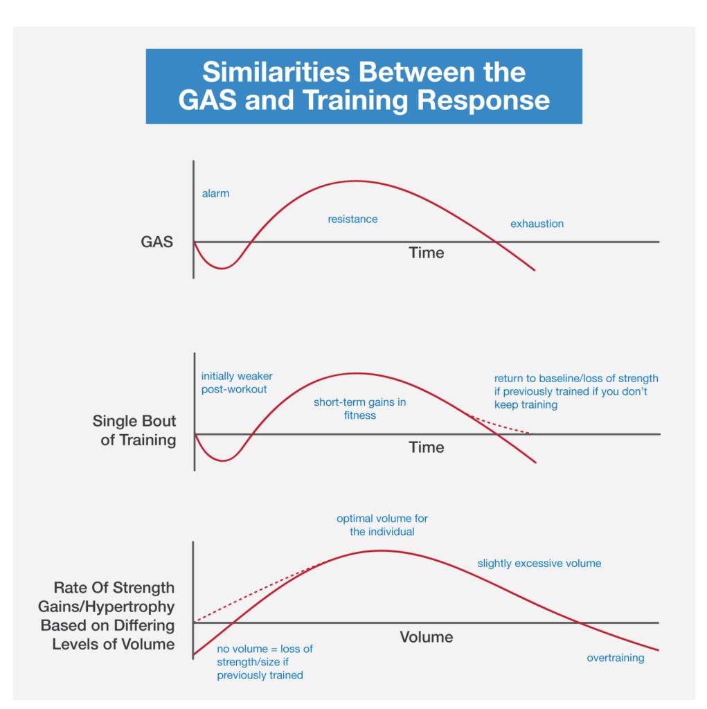 周期训练理论与方法心得体会,周期训练理论与方法目录