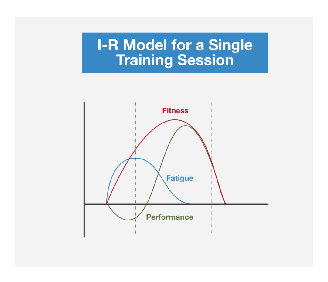 周期训练理论与方法心得体会,周期训练理论与方法目录