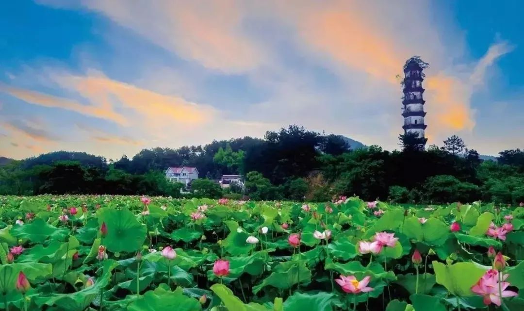 衢州市有哪些古镇老街,衢州历史文化名城公布时间