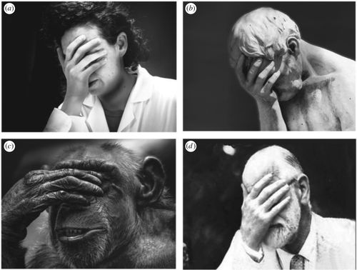 我怎么就管不住这手呢表情包,我怎么就管不住这双手图片