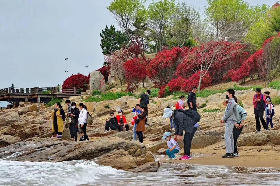 乳山景区开通会员服务,大乳山度假区
