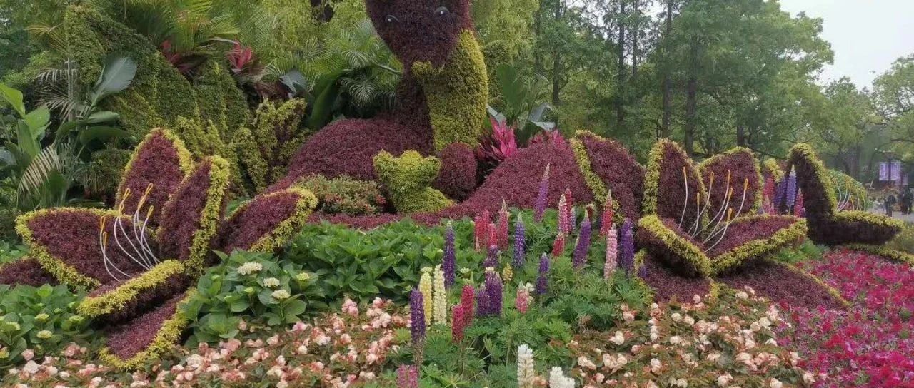 全国中小股份转让系统是新三板吗,新三板股份讲解