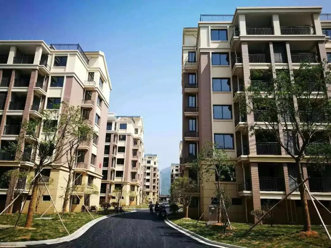 2019年7月20日丽水新闻,丽水新闻快讯