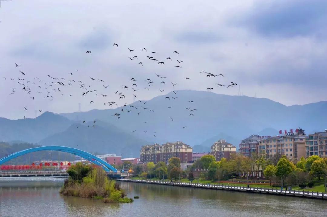 2019年7月20日丽水新闻,丽水新闻快讯