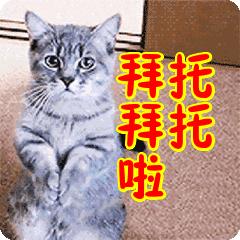 全额退费的最新通告,全额退款商品还返回去吗