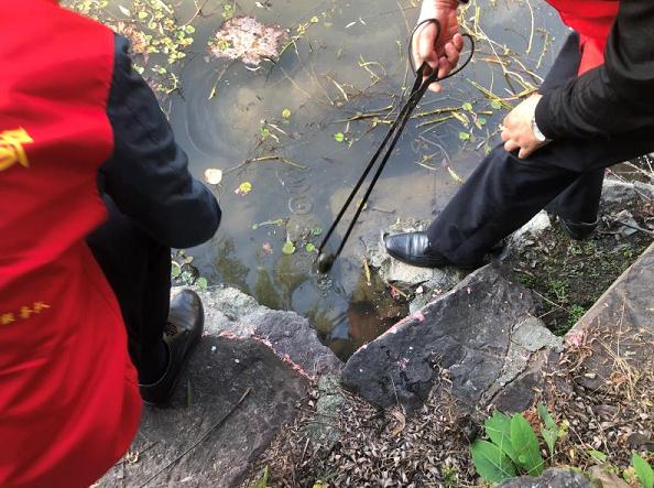 很多食物都有寄生虫,哪些食物也携带大量寄生虫