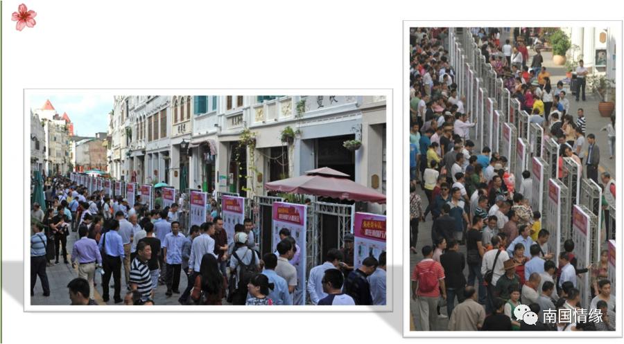 鍗楀浗鎯呯紭鎶栭煶,鍗楀浗鎯呯紭绾夸笅浜ゅ弸娲诲姩