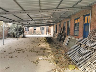 非法肾移植患者怎么办,非法移植人体器官案