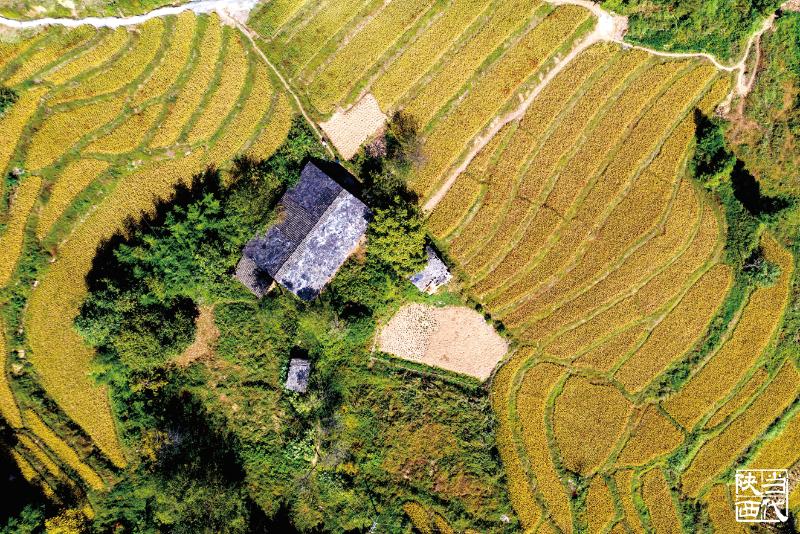 “一肩挑”不是“一言堂”——村干部权大了怎么办？