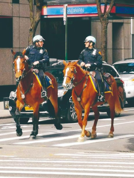 武汉疫情下的长春人,疫情下长春人的一天