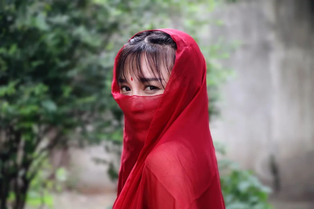 央视评李子柒为何火遍全球app,李子柒的资本背后的故事