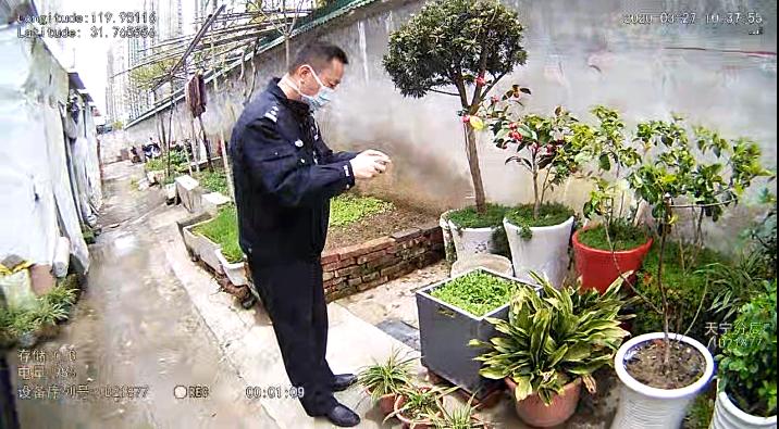 提醒丨这种花，种了就抓