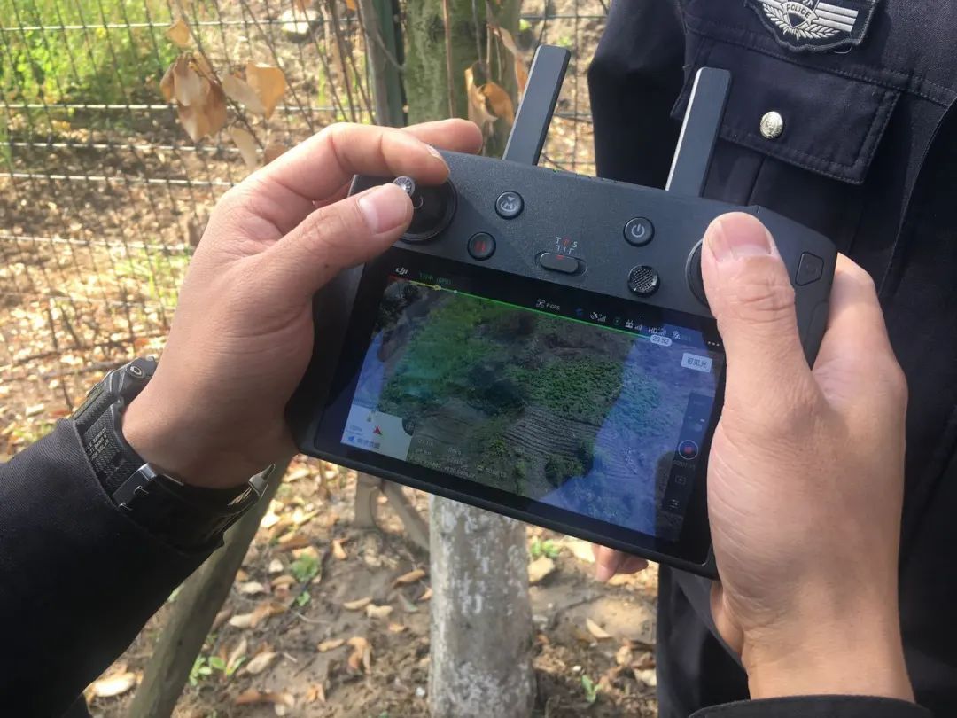 提醒丨这种花，种了就抓