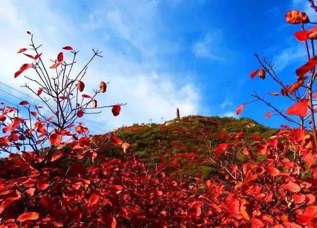 太原十三五期间的发展变化,太原市未来重点发展的五个区域