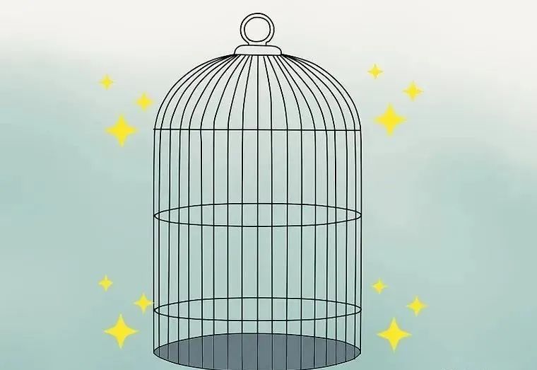 心疼……鸡尾鹦鹉拉稀了，怎么办？