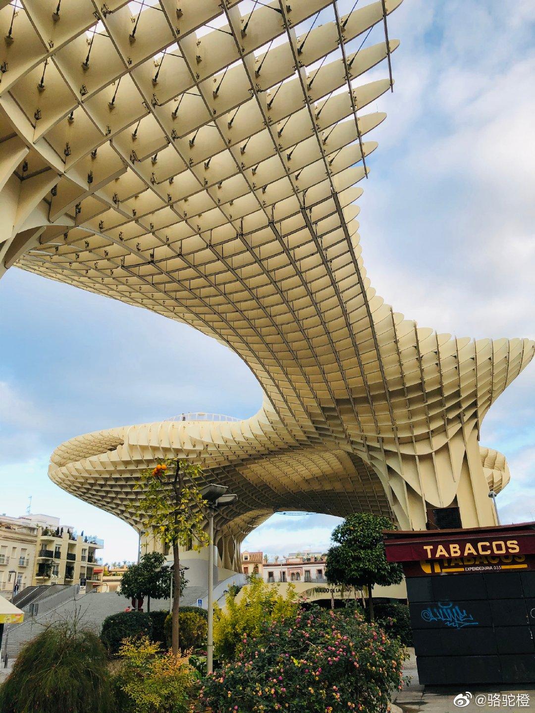 西班牙驻华大使馆旅游处,西班牙领事馆游玩攻略图文