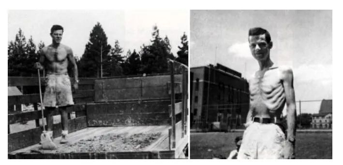 节食减肥饥荒效应,节食减肥饥荒