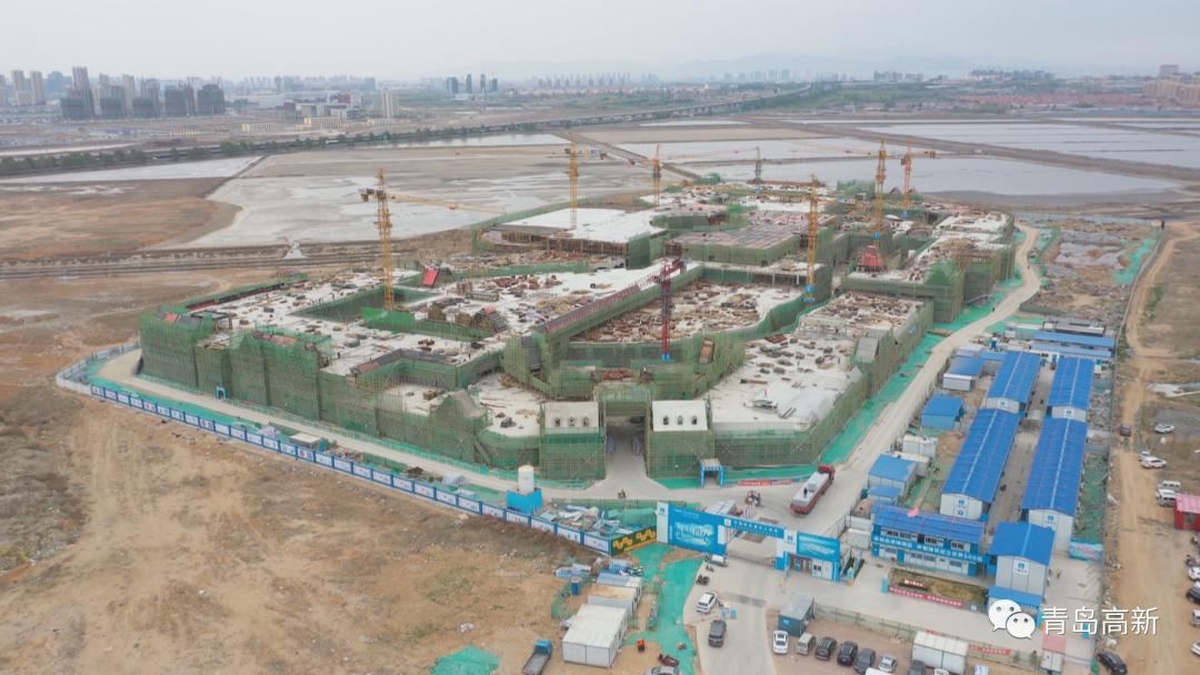 万科进军养猪项目,万科养猪最新进展