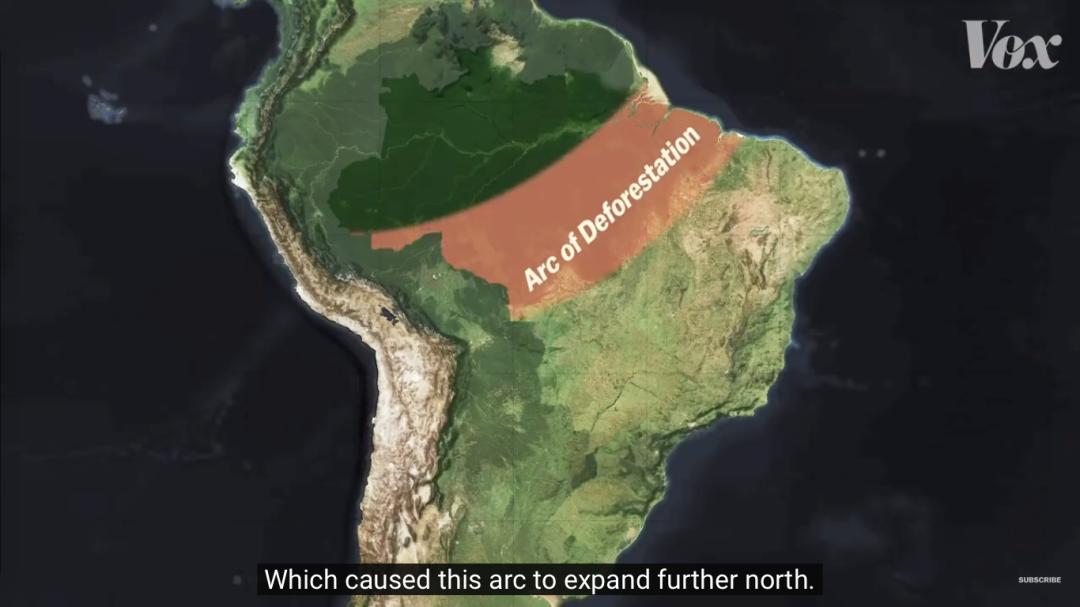 三个月砍掉20个曼哈顿，一年砍掉一个国家，亚马逊已经到了最危急的时候