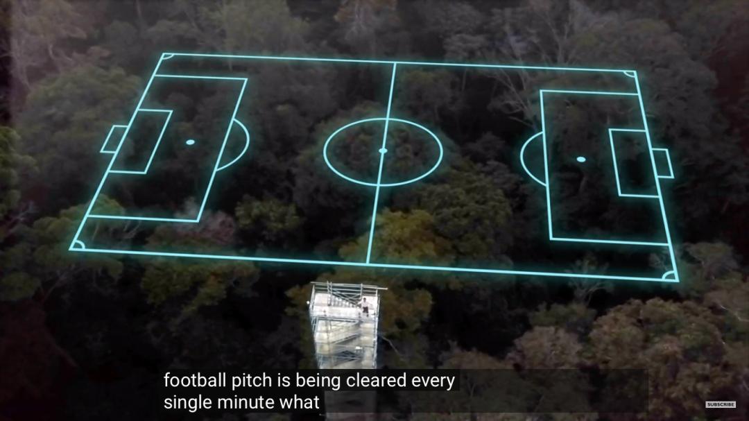 三个月砍掉20个曼哈顿，一年砍掉一个国家，亚马逊已经到了最危急的时候