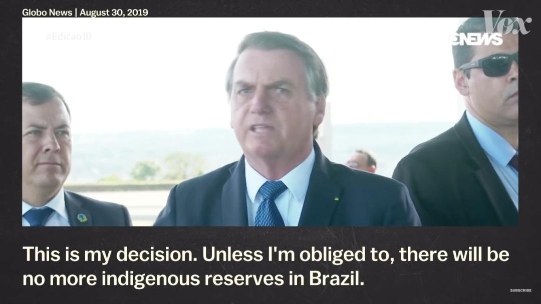 三个月砍掉20个曼哈顿，一年砍掉一个国家，亚马逊已经到了最危急的时候