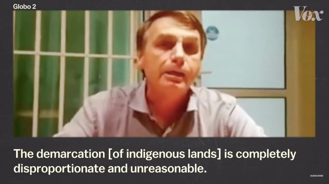 三个月砍掉20个曼哈顿，一年砍掉一个国家，亚马逊已经到了最危急的时候