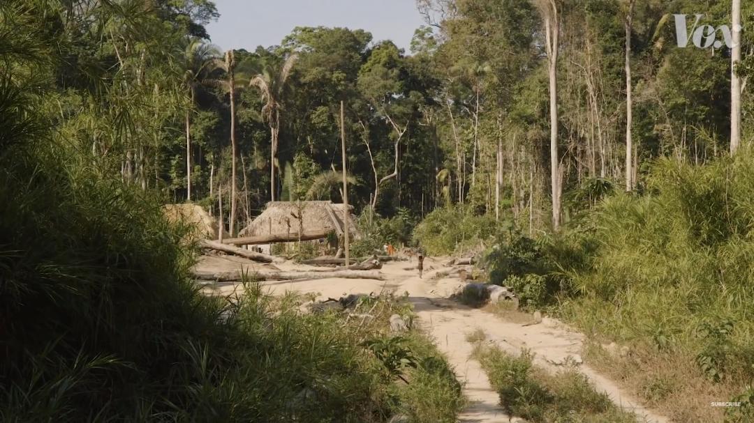 三个月砍掉20个曼哈顿，一年砍掉一个国家，亚马逊已经到了最危急的时候