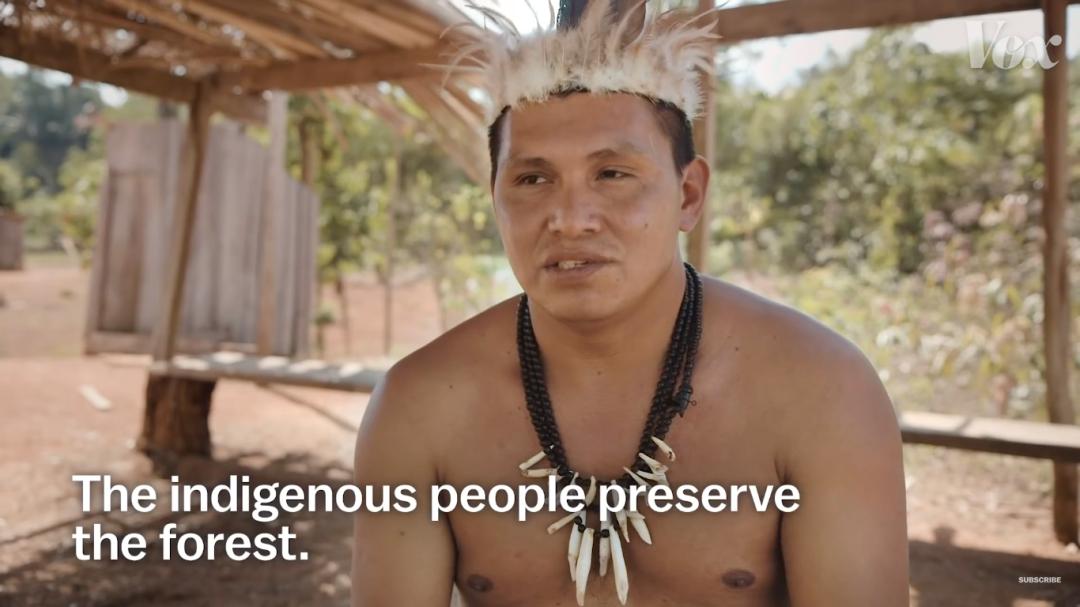 三个月砍掉20个曼哈顿，一年砍掉一个国家，亚马逊已经到了最危急的时候