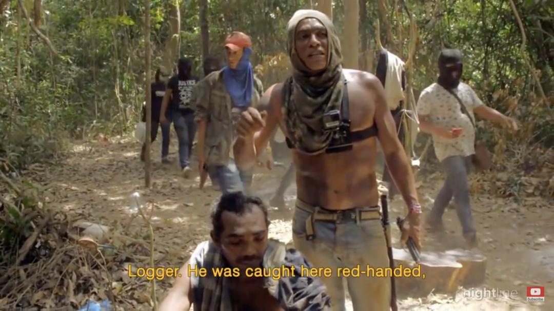 三个月砍掉20个曼哈顿，一年砍掉一个国家，亚马逊已经到了最危急的时候