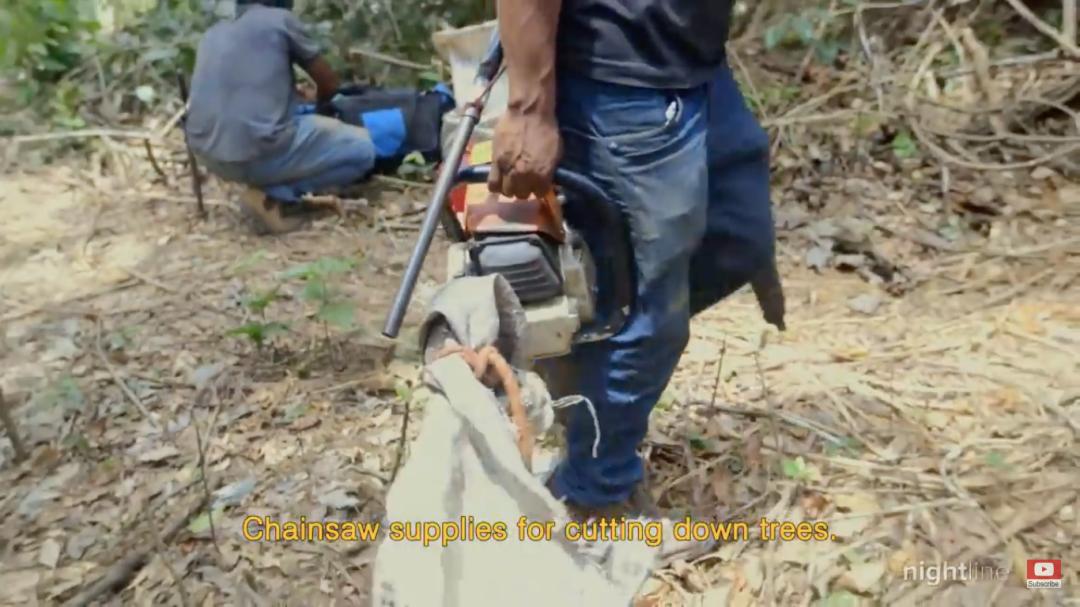 三个月砍掉20个曼哈顿，一年砍掉一个国家，亚马逊已经到了最危急的时候