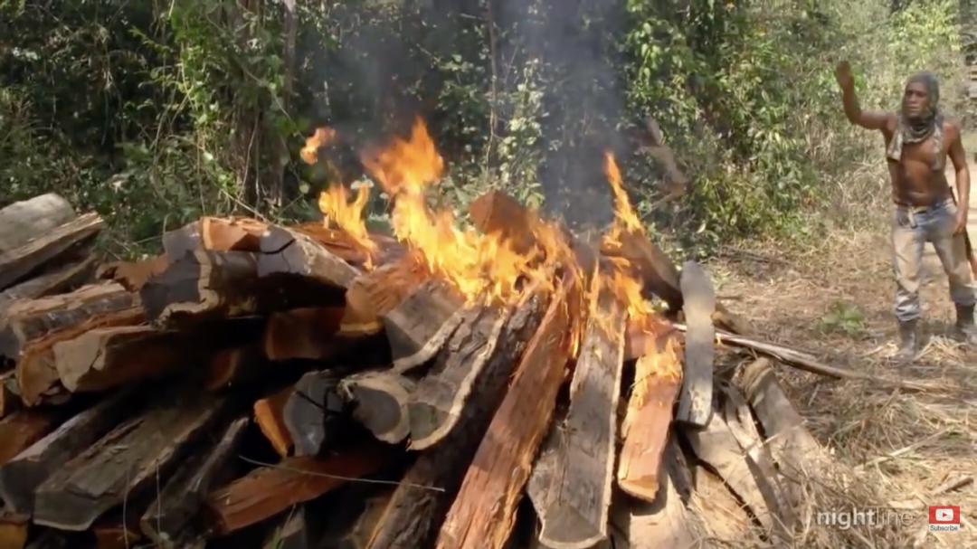三个月砍掉20个曼哈顿，一年砍掉一个国家，亚马逊已经到了最危急的时候