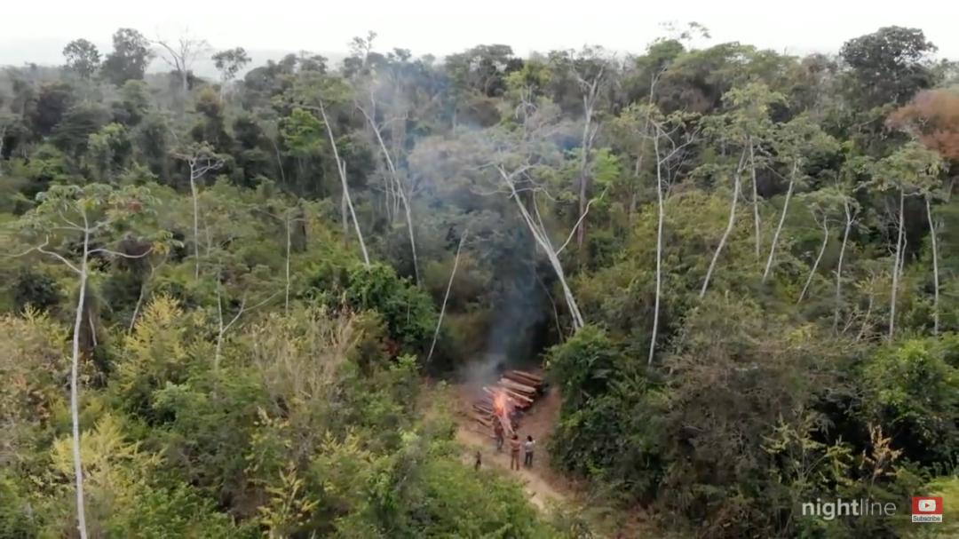 三个月砍掉20个曼哈顿，一年砍掉一个国家，亚马逊已经到了最危急的时候