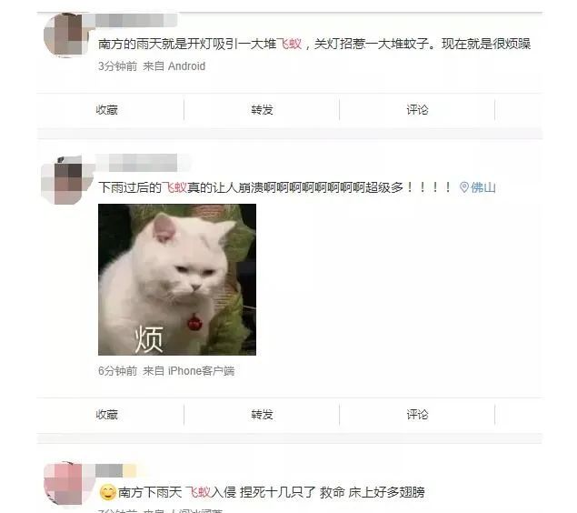 太多多多……了！最近很多人被吓得不敢开灯，只因它们又来“空袭”