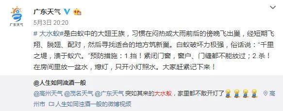 太多多多……了！最近很多人被吓得不敢开灯，只因它们又来“空袭”