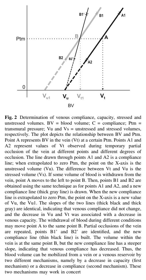 争议不断的目标导向液体治疗：那些“目标”背后的生理学