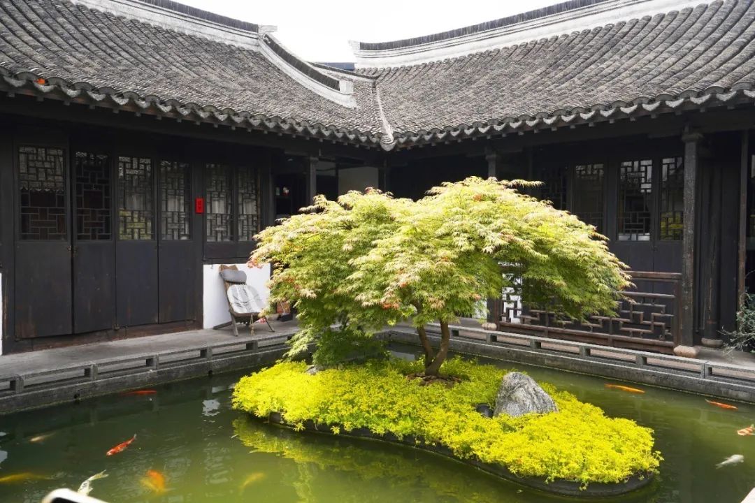 上海迪士尼免费6日游,上海迪士尼乐园中午入园门票