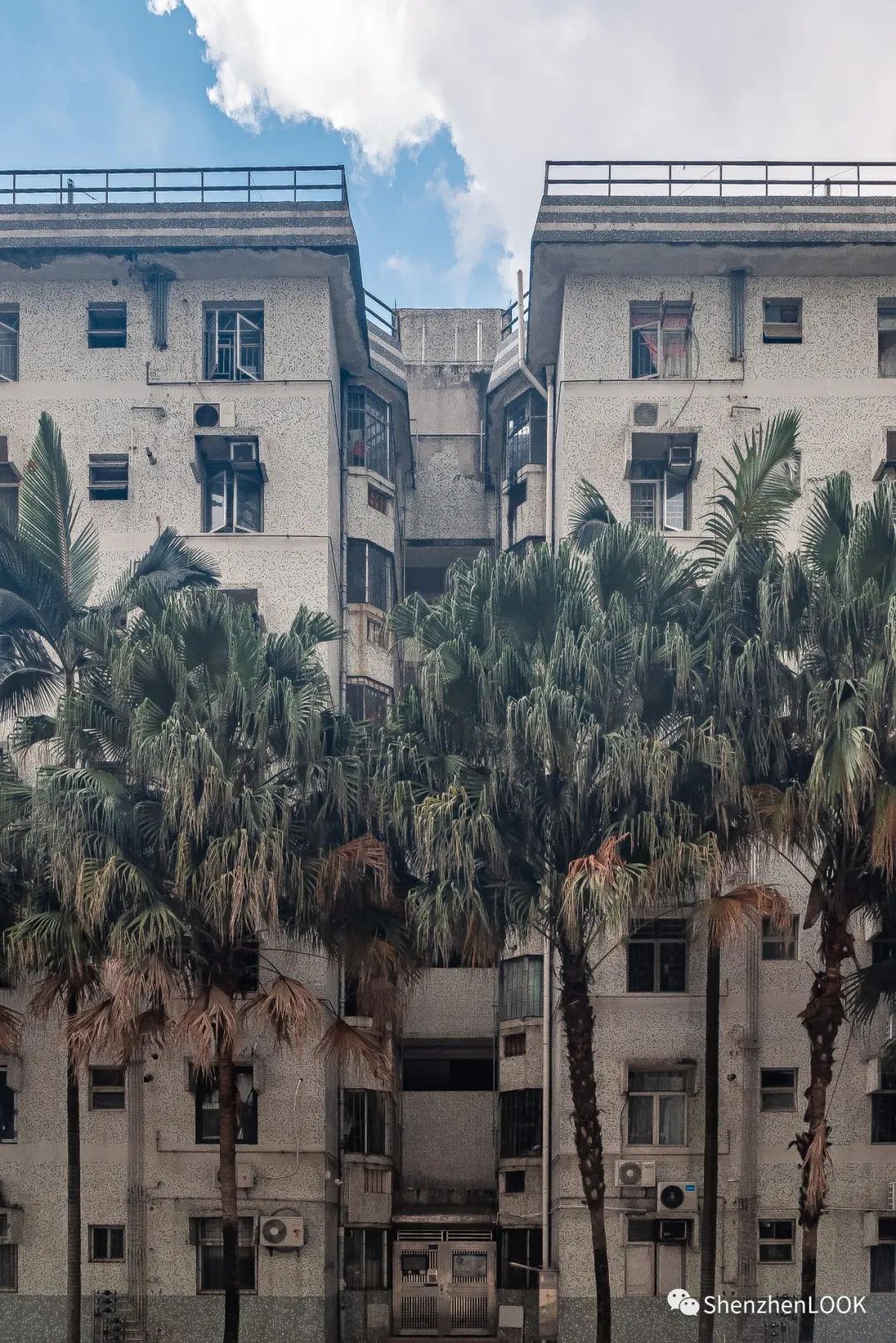 look这是什么牌子的包包,严浩翔说look这是tnt什么舞台