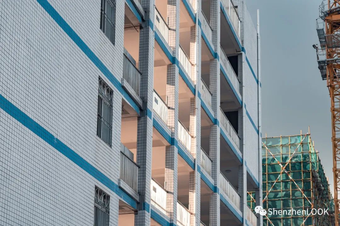 look这是什么牌子的包包,严浩翔说look这是tnt什么舞台