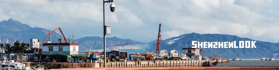 look这是什么牌子的包包,严浩翔说look这是tnt什么舞台