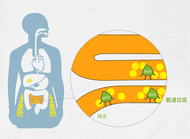 随时喝到自制酸奶，糖度随心加，肠胃它守护