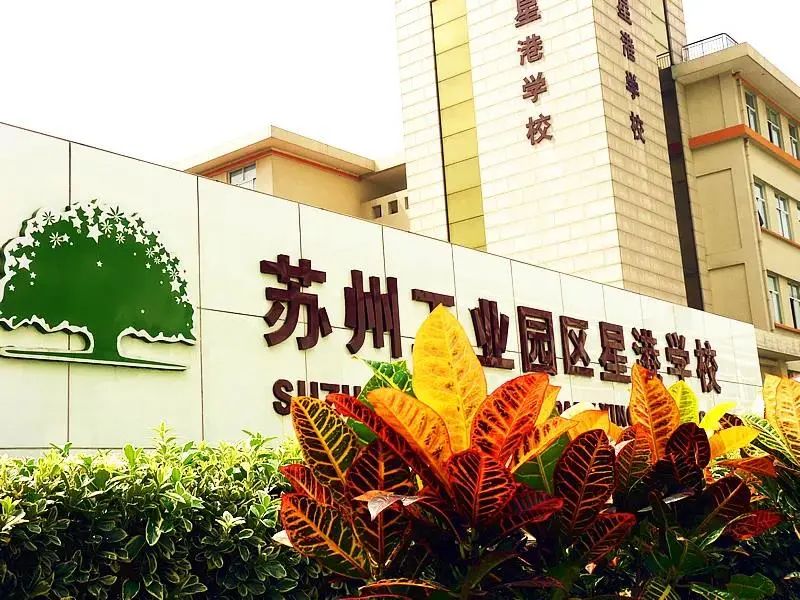 园区星港小学怎么样,星港小学好还是分校好