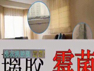 除发霉的霉菌,除霉剂真的能消除霉菌吗