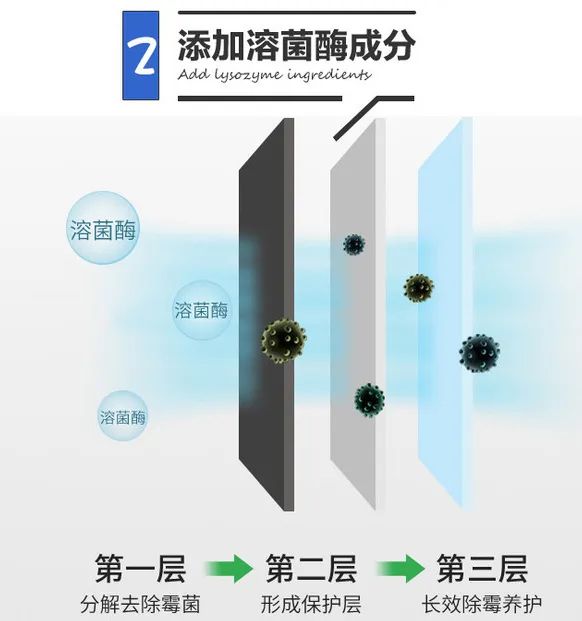 除发霉的霉菌,除霉剂真的能消除霉菌吗