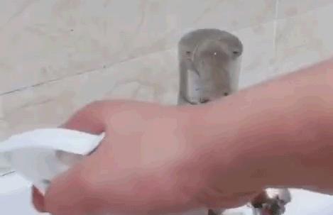 除发霉的霉菌,除霉剂真的能消除霉菌吗