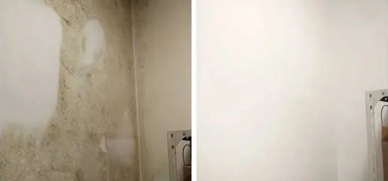 除发霉的霉菌,除霉剂真的能消除霉菌吗