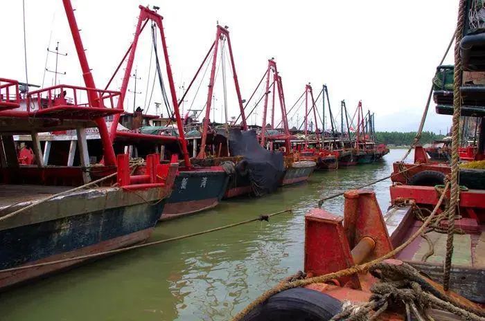 海产行业的前景分析图解,海产行业的发展趋势是什么呢