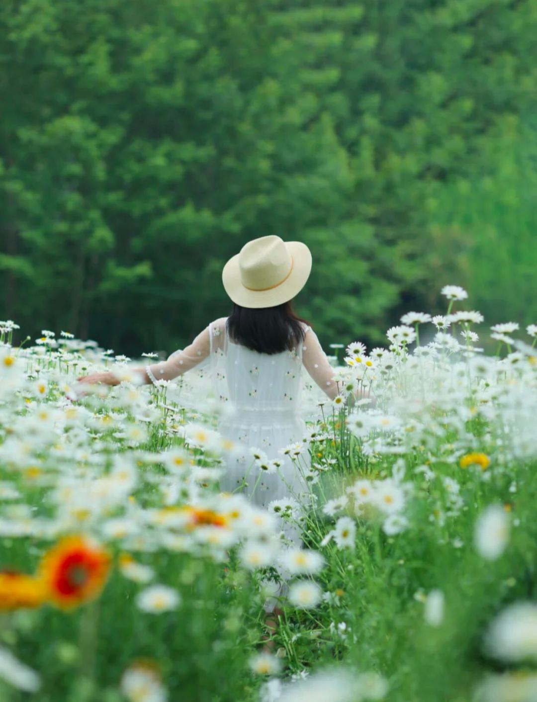 五月成都周边网红打卡地一日游,成都五月周末打卡推荐